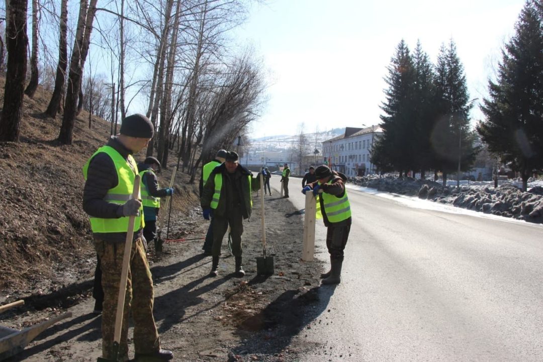 Более 200 тысяч кузбассовцев приняли участие во Всероссийском субботнике
