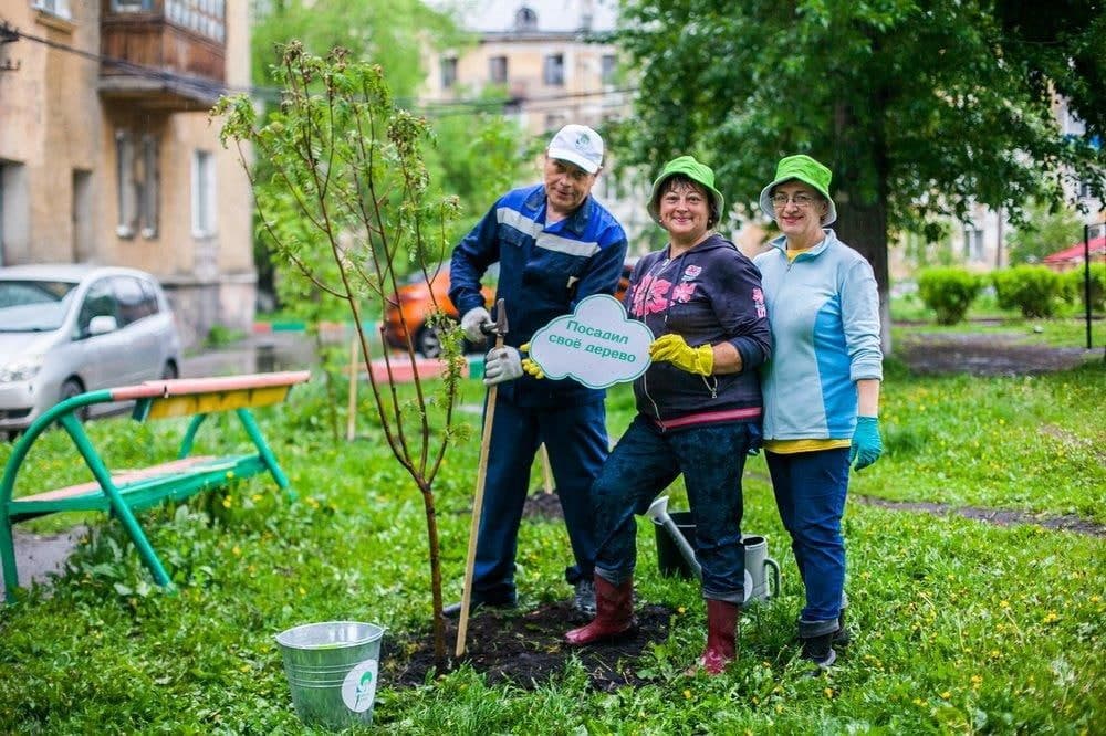 Мош по экологии результаты. Конкурс экологических инициатив «зеленая волна». Озеленение волонтерство. Зеленая волна РУСАЛ. Грантовый конкурс зеленая волна.