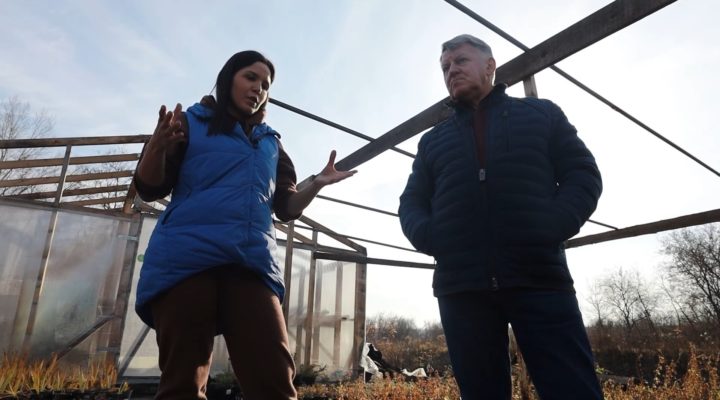 «Не твой бизнес»: Серия 3. Команды Владимира Табачникова и Елены Павловой