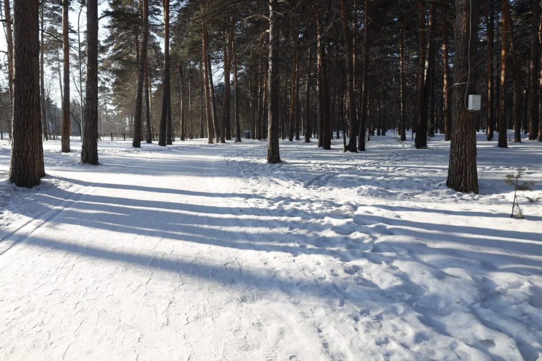 В 2022 году в Кузбассе благоустроят 300 дворов и 69 общественных пространств