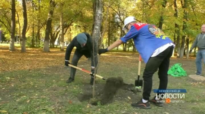 Вклад в общую копилку