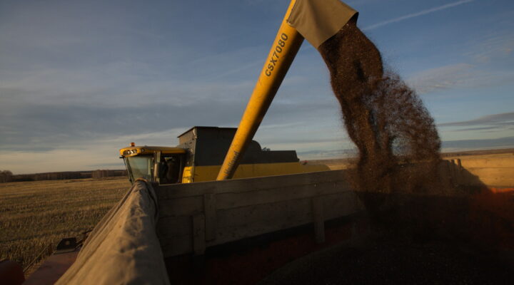 Правительство Кузбасса заключило соглашение об обеспечении аграриев сельскохозяйственной техникой Правительство Кузбасса заключило соглашение об обеспечении аграриев сельскохозяйственной техникой