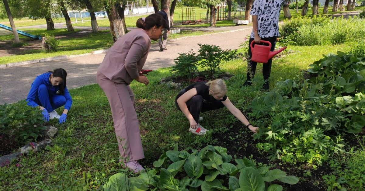 Трудоустройство несовершеннолетних проект 10 класс