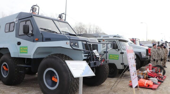 В Кузбассе в этом году количество лесных пожаров сократилось в 35 раз