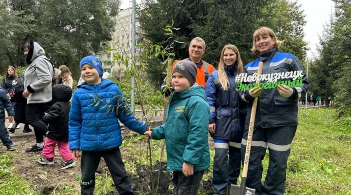 В Кузбассе этой осенью в рамках акции «Сохраним лес» уже высадили 1 млн 868 тысяч деревьев
