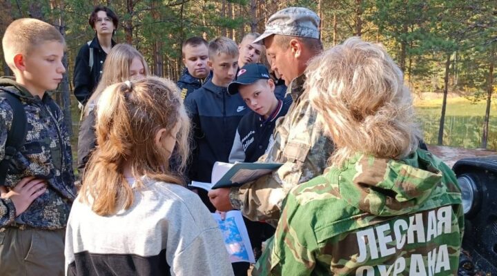 Сергей Цивилев: интерес к лесной отрасли начинаем прививать с детского сада