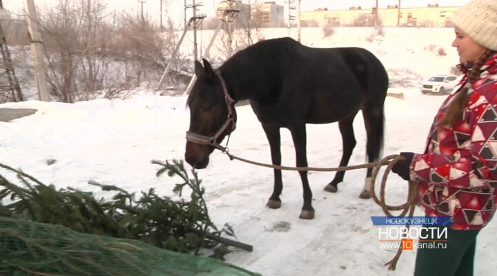 Совместить полезное с приятным