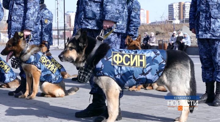С соблюдением всех парадных ритуалов