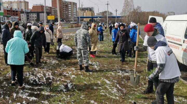 Порядка двух миллионов деревьев высадят в Кузбассе в год 80-летия Победы