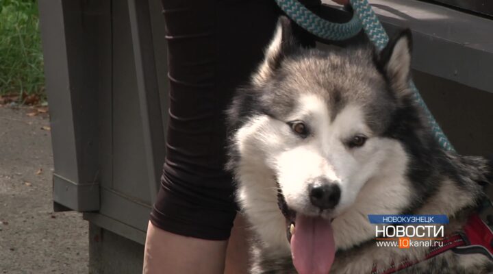 Жара – дополнительный фактор риска