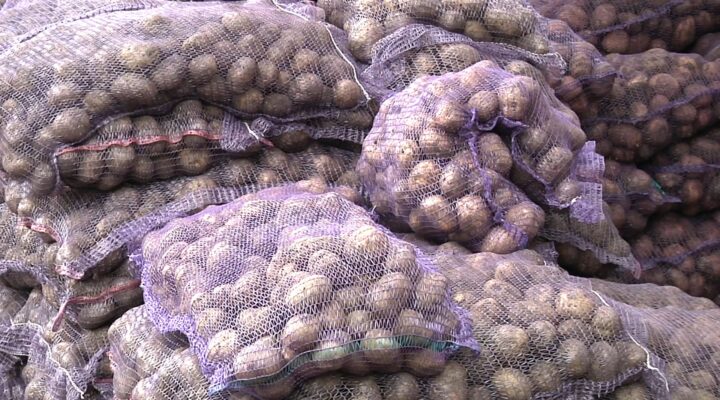 Время свежих овощей