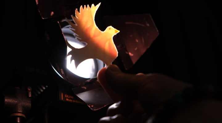 Окрылённые