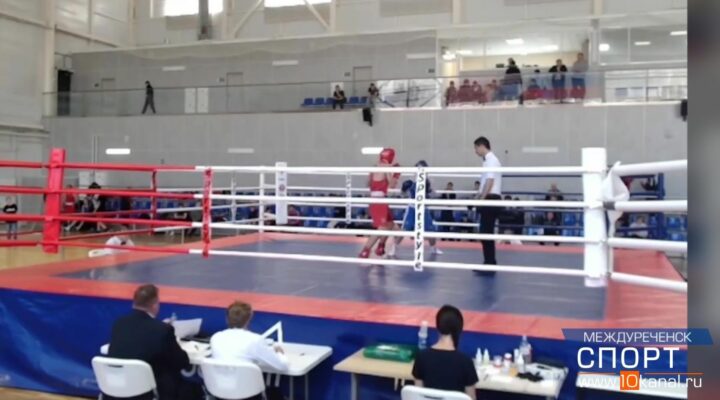 В нос дал ему – и всё! В нос дал ему – и всё!