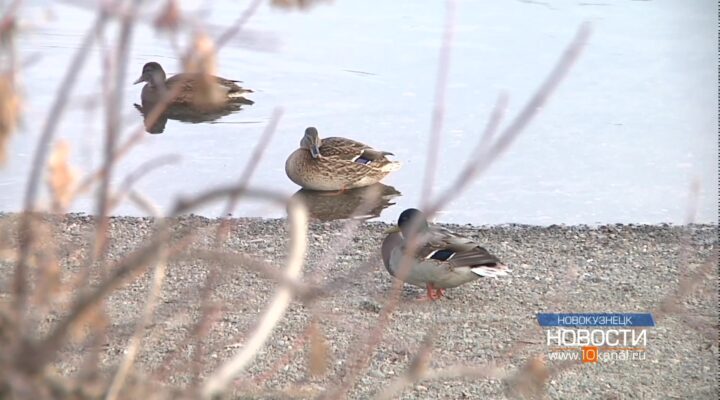 Водные маршруты закрыты для движения